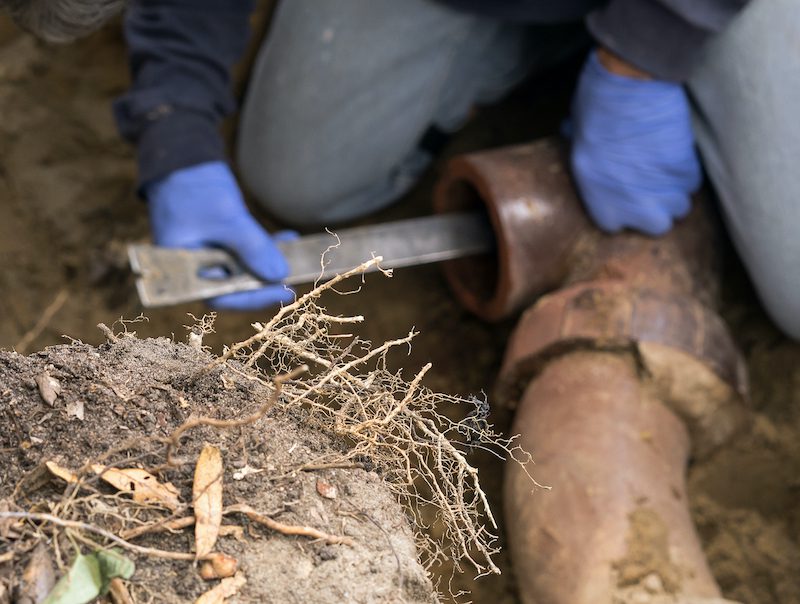 Main Plumbing Issues Found in Old Houses